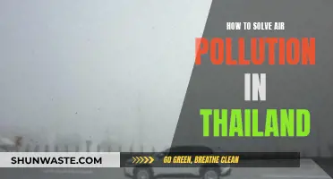 Thailand's Air Pollution: Solutions for a Cleaner Future
