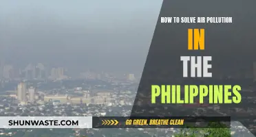 Philippines' Air Pollution: Strategies for a Cleaner Future
