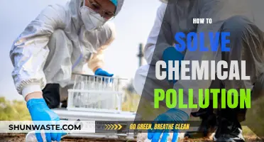 Chemical Pollution: Solutions for a Sustainable Future