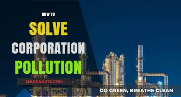 Ending Corporate Pollution: Strategies for a Greener Future