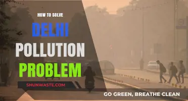 Delhi Pollution: Solutions for a Breathable City