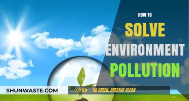 Strategies to Combat Environmental Pollution