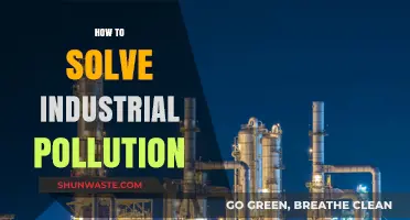 Industrial Pollution: Strategies for a Sustainable Future