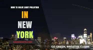 Light Pollution: New York's Dark Sky Solution