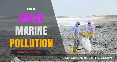 Protecting Our Oceans: Strategies for Tackling Marine Pollution