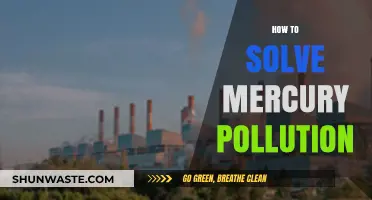 Eradicating Mercury Pollution: Strategies for a Cleaner Future