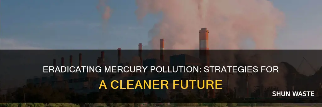 how to solve mercury pollution