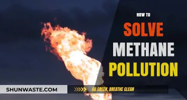 Mitigating Methane Emissions: Strategies for a Cleaner Future