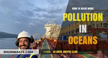 Addressing Marine Noise Pollution: Strategies and Solutions