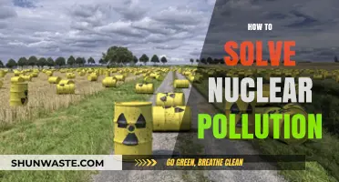 Nuclear Pollution: Solutions for a Cleaner Future