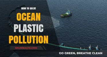 Eradicating Ocean Plastic Pollution: Strategies for a Cleaner Future