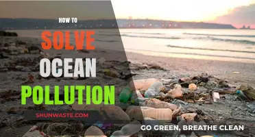 Ocean Pollution: Strategies for a Sustainable Future