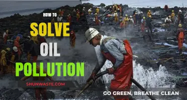 Eradicating Oil Pollution: Strategies for a Cleaner Future