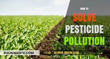 Pesticide Pollution: Strategies for a Sustainable Solution