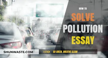 Solving Pollution: Strategies for a Sustainable Future