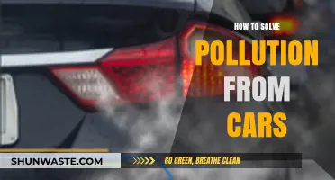 Green Driving: Reducing Pollution from Cars