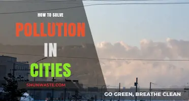 Green Solutions for Urban Pollution