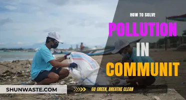 Community Action: Solving Pollution Together