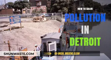 Detroit's Pollution: Strategies for a Sustainable Future