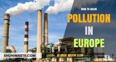 Solving Pollution in Europe: Strategies for a Green Future