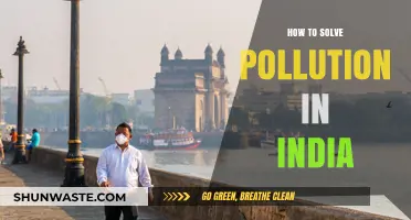 Green India: Solving Pollution Crisis