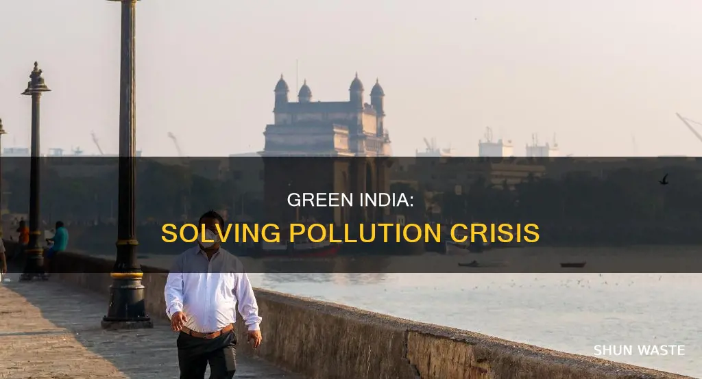 how to solve pollution in india