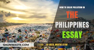 Philippines: Reducing Pollution, Improving Health