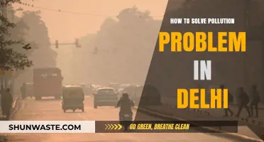 Delhi's Pollution: Solutions to Breathe Easy