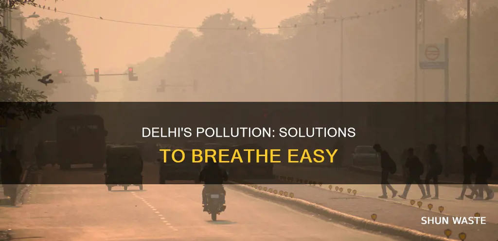 how to solve pollution problem in delhi