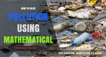 Maths: Pollution Solution?