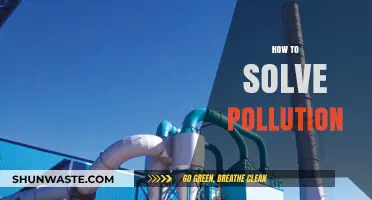 Green Revolution: Solving Pollution for a Better Tomorrow