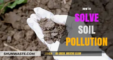 Strategies to Combat Soil Pollution