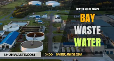 Innovative Solutions to Tackle Tampa Bay's Wastewater Crisis
