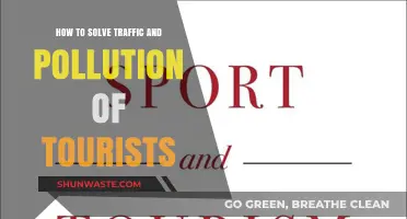 Easing Traffic and Pollution: Strategies for Sustainable Tourism