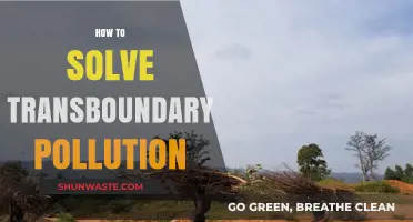 Solving Transboundary Pollution: Strategies for a Cleaner Planet