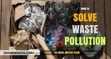 Waste Pollution: Solutions for a Sustainable Future