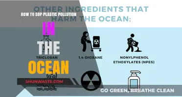Stop Ocean Plastic Pollution: Solutions and Strategies