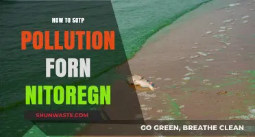 Nitrogen Pollution: Solutions to Stop the Problem
