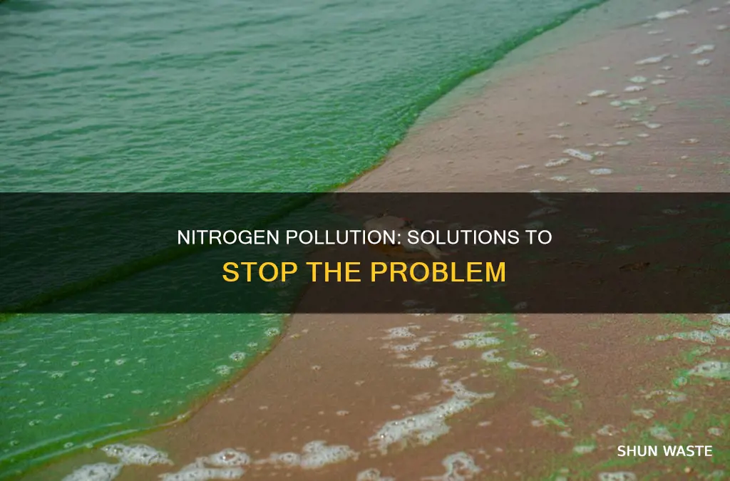 how to sotp pollution forn nitoregn