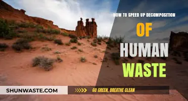 Accelerating Human Waste Decomposition: Effective Methods for Faster Breakdown