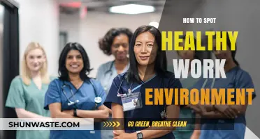 Recognizing a Healthy Work Environment: Key Signs and Indicators