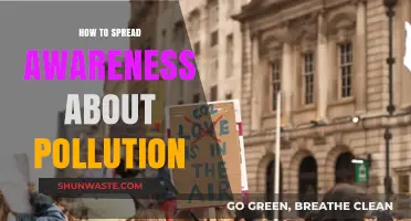 Spreading Pollution Awareness: Effective Strategies for Change