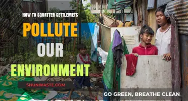 Squatter Settlements: Environmental Hazards and Health Risks