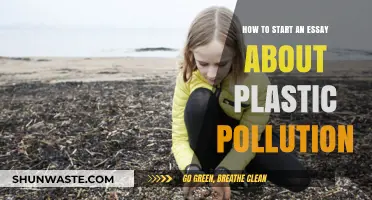 Essays on Plastic Pollution: Getting Started