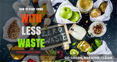 Simple Steps to Embrace a Zero-Waste Lifestyle Effortlessly