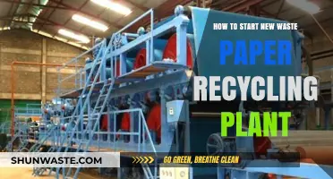 Launching a Profitable Waste Paper Recycling Plant: A Step-by-Step Guide
