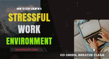 Mastering Serenity: Strategies to Stay Calm in Stressful Workplaces