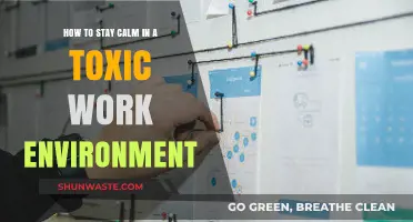 Surviving Toxicity: Strategies to Stay Calm in a Hostile Workplace