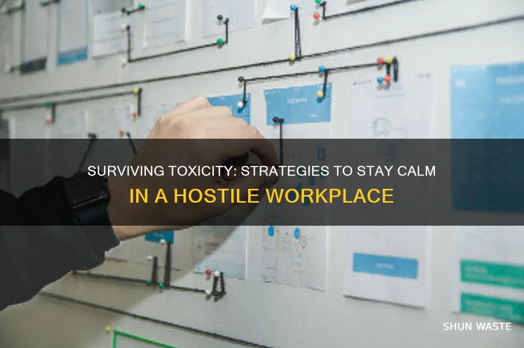 how to stay calm in a toxic work environment