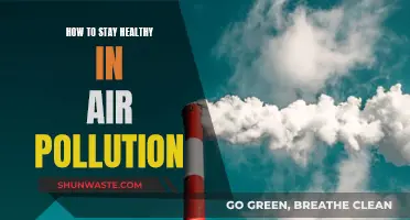 Stay Healthy, Breathe Easy: Tips for Polluted Air